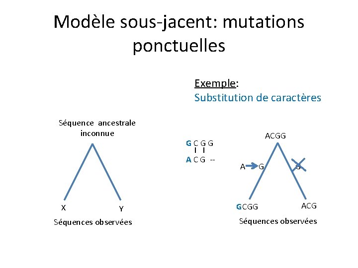 Modèle sous-jacent: mutations ponctuelles Exemple: Substitution de caractères Séquence ancestrale inconnue X Y Séquences