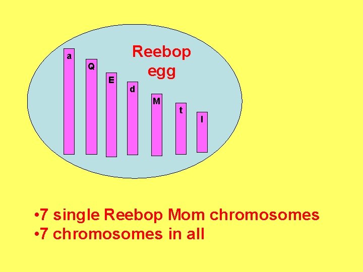 a Q E Reebop egg d M t l • 7 single Reebop Mom