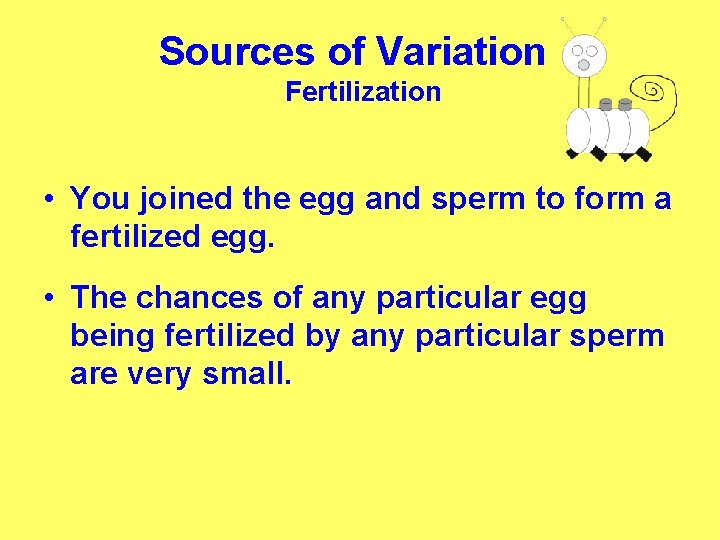 Sources of Variation: Fertilization • You joined the egg and sperm to form a