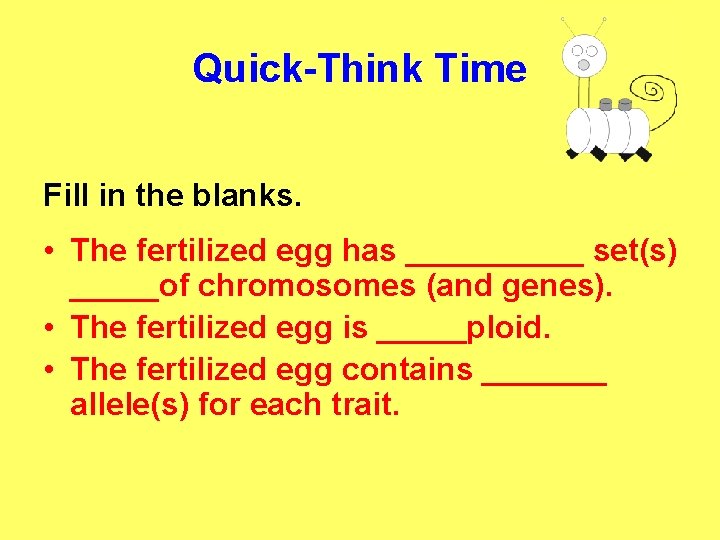 Quick-Think Time Fill in the blanks. • The fertilized egg has _____ set(s) _____of