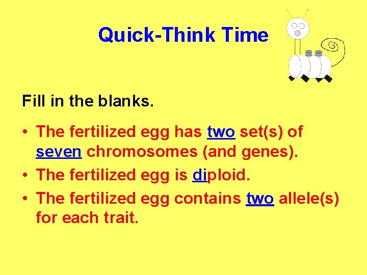Quick-Think Time Fill in the blanks. • The fertilized egg has two set(s) of