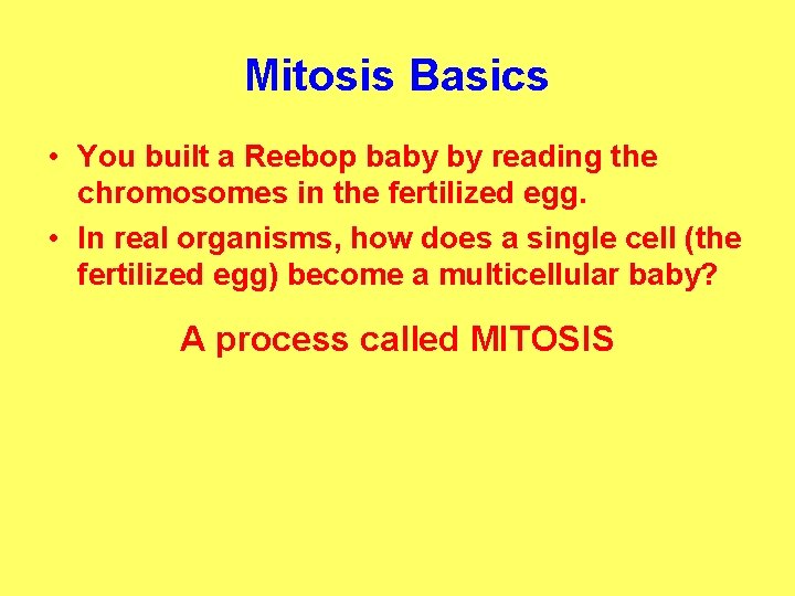 Mitosis Basics • You built a Reebop baby by reading the chromosomes in the
