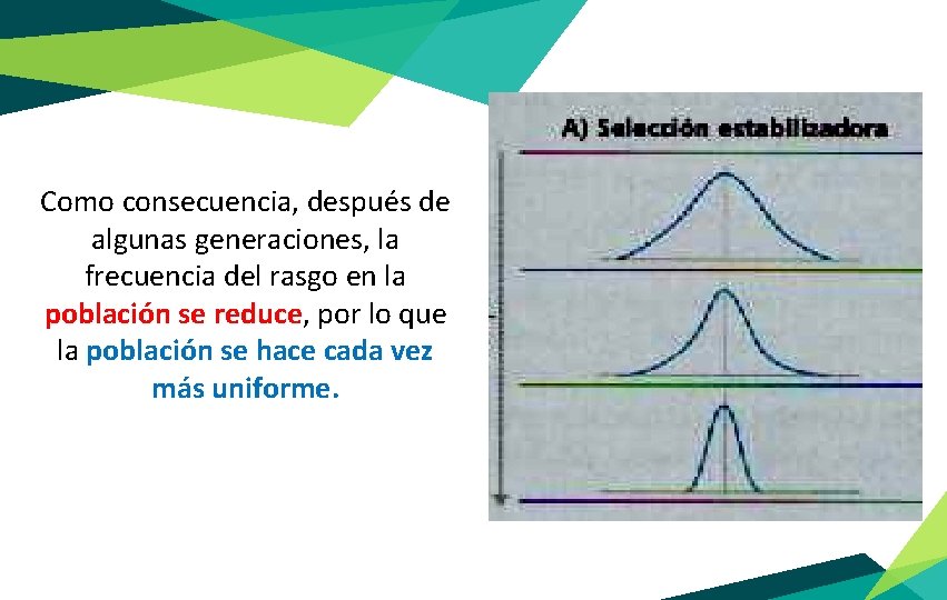 Como consecuencia, después de algunas generaciones, la frecuencia del rasgo en la población se