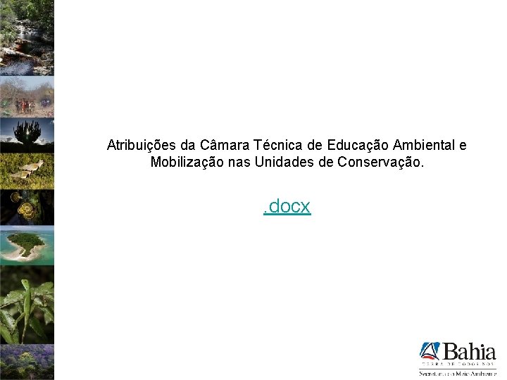 Atribuições da Câmara Técnica de Educação Ambiental e Mobilização nas Unidades de Conservação. .