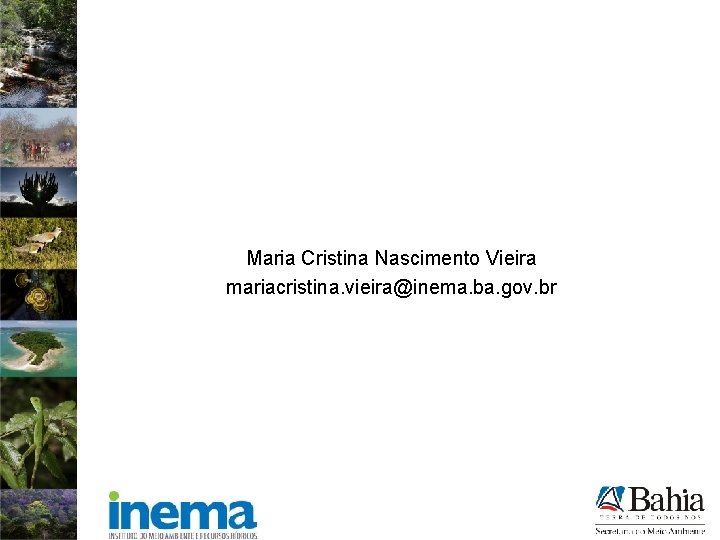 Maria Cristina Nascimento Vieira mariacristina. vieira@inema. ba. gov. br 