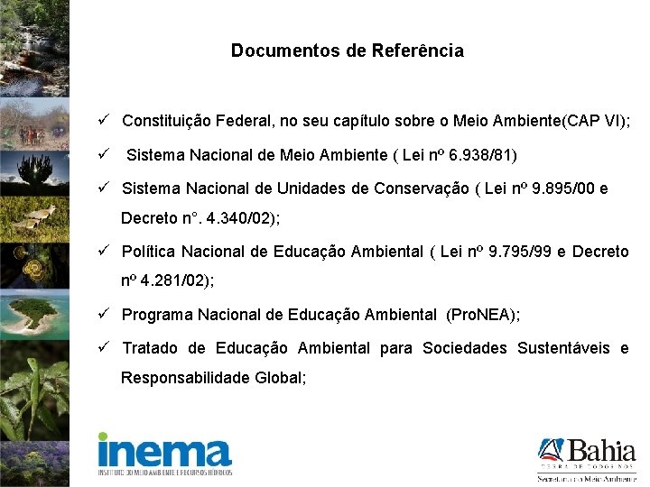 Documentos de Referência ü Constituição Federal, no seu capítulo sobre o Meio Ambiente(CAP VI);