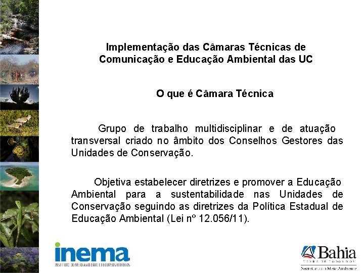 Implementação das Câmaras Técnicas de Comunicação e Educação Ambiental das UC O que é