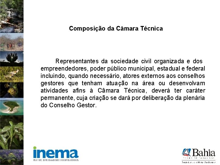 Composição da Câmara Técnica Representantes da sociedade civil organizada e dos empreendedores, poder público