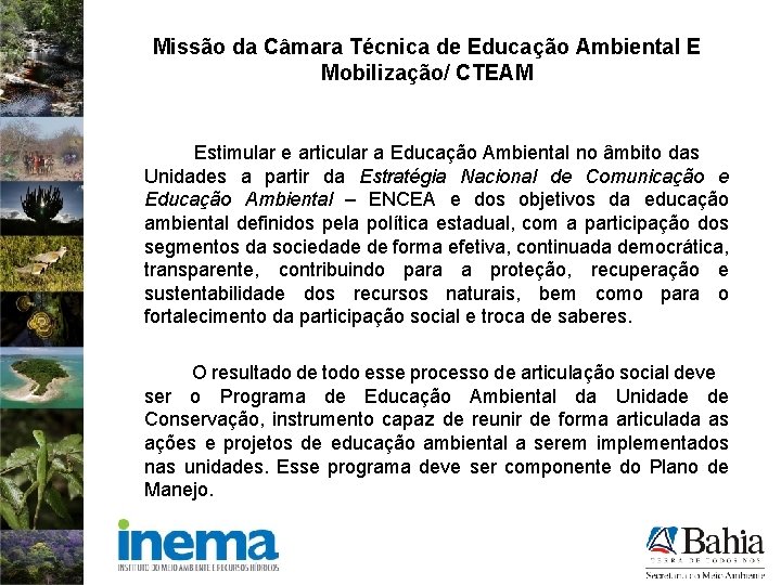 Missão da Câmara Técnica de Educação Ambiental E Mobilização/ CTEAM Estimular e articular a