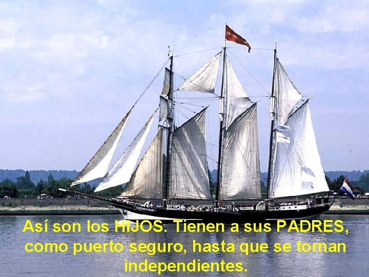 Así son los HIJOS. Tienen a sus PADRES, como puerto seguro, hasta que se