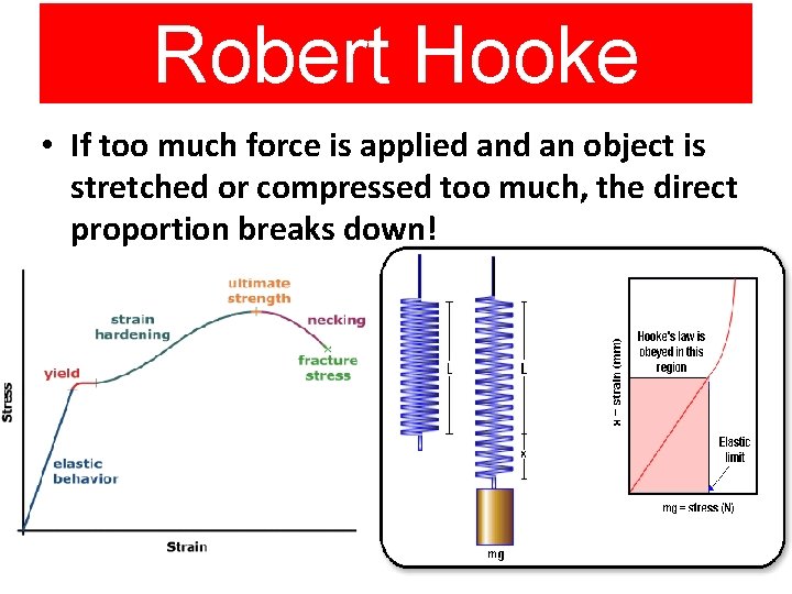 Robert Hooke • If too much force is applied an object is stretched or