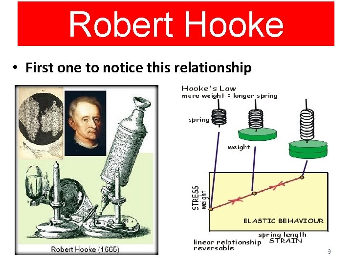 Robert Hooke • First one to notice this relationship 9 