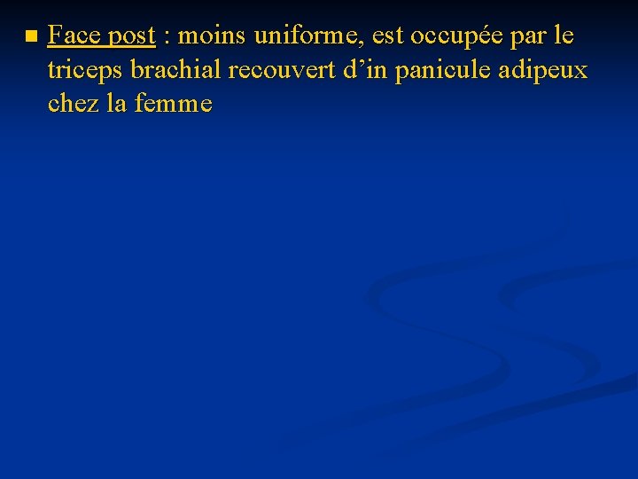 n Face post : moins uniforme, est occupée par le triceps brachial recouvert d’in
