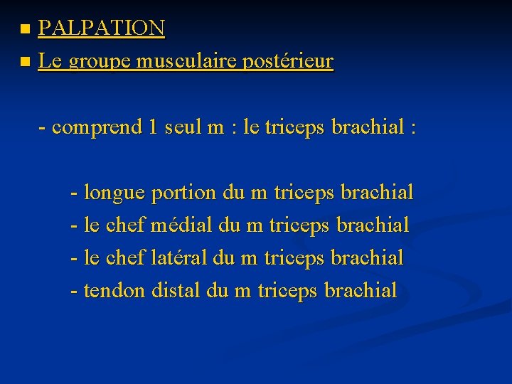 PALPATION n Le groupe musculaire postérieur n - comprend 1 seul m : le