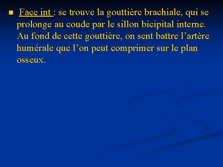 n Face int : se trouve la gouttière brachiale, qui se prolonge au coude