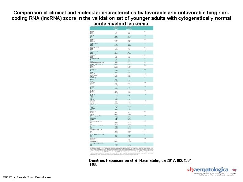 Comparison of clinical and molecular characteristics by favorable and unfavorable long noncoding RNA (lnc.