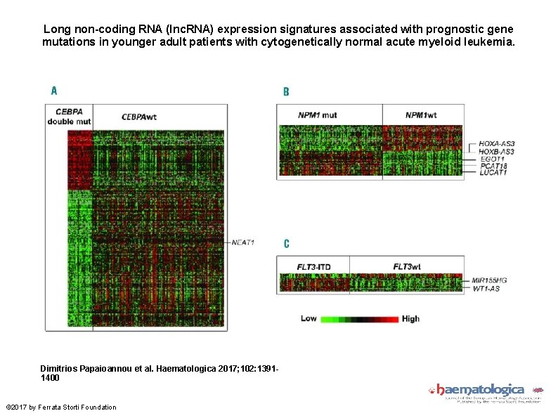 Long non-coding RNA (lnc. RNA) expression signatures associated with prognostic gene mutations in younger