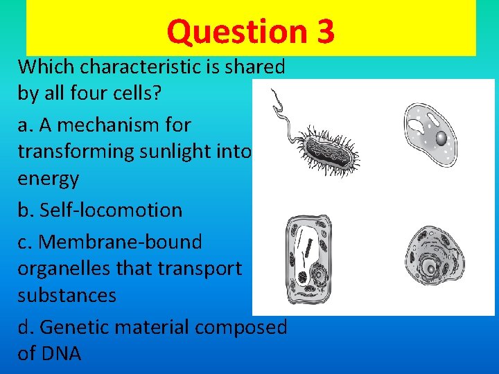 Question 3 Which characteristic is shared by all four cells? a. A mechanism for