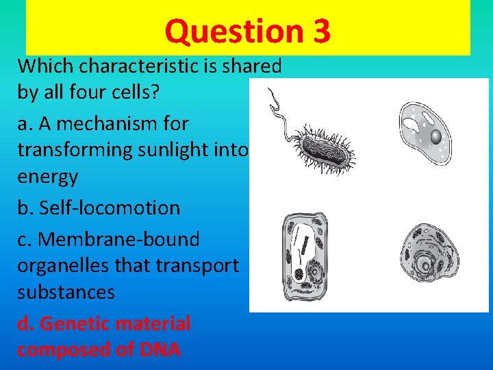 Question 3 Which characteristic is shared by all four cells? a. A mechanism for