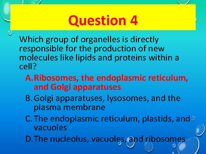 Question 1 4 Which group of organelles is directly responsible for the production of