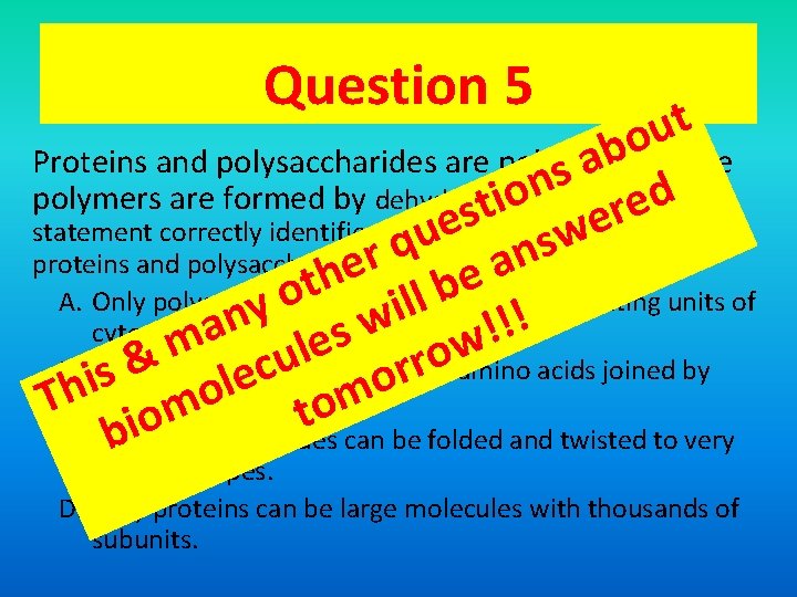 Question 5 t u o b Proteins and polysaccharides are polymers. These a s