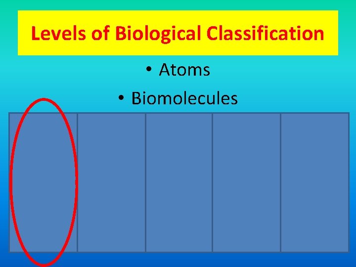 Levels of Biological Classification • Atoms • Biomolecules 