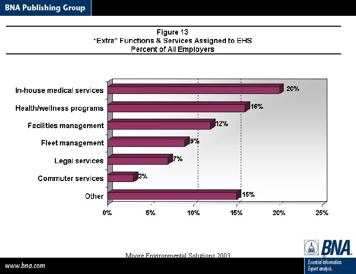 Moore Environmental Solutions 2003 8 