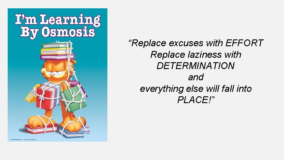 “Replace excuses with EFFORT Replace laziness with DETERMINATION and everything else will fall into