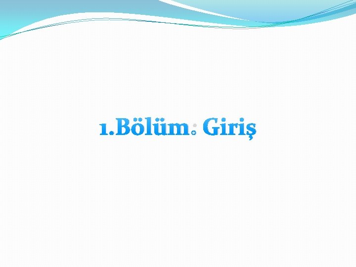 1. Bölüm: Giriş 