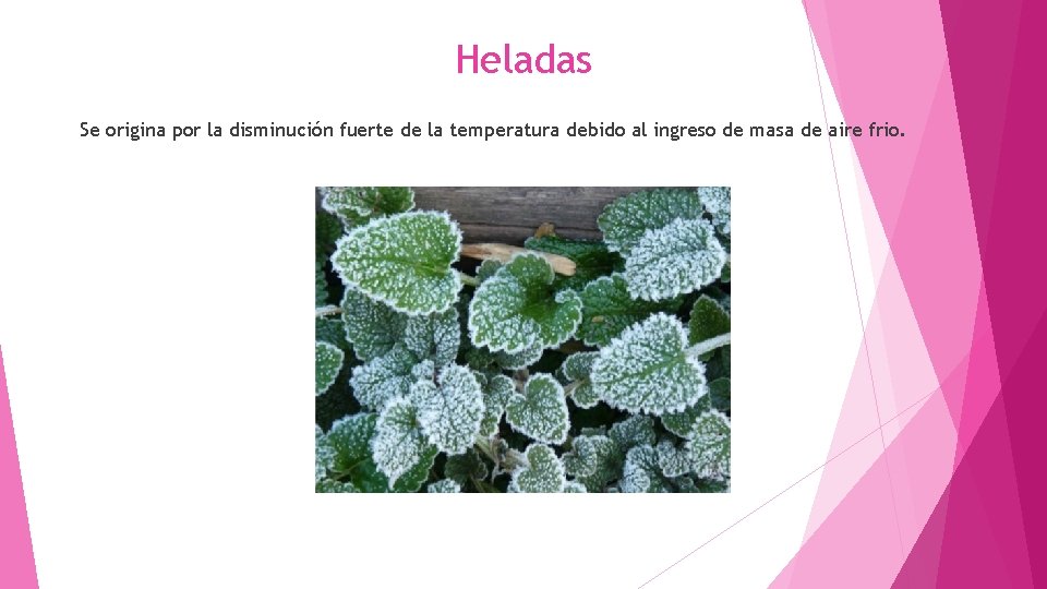 Heladas Se origina por la disminución fuerte de la temperatura debido al ingreso de