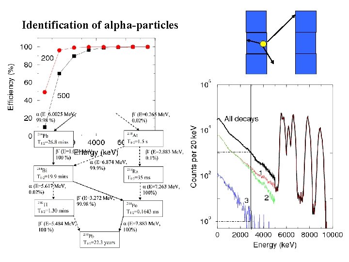 Identification of alpha-particles 