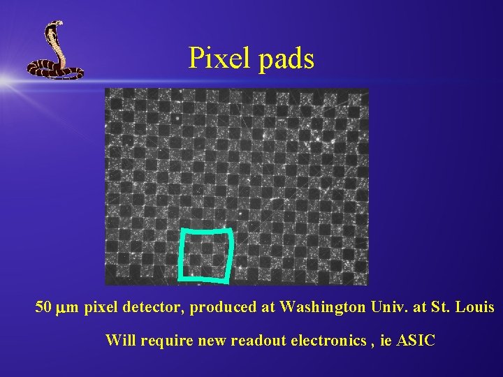 Pixel pads 50 m pixel detector, produced at Washington Univ. at St. Louis Will