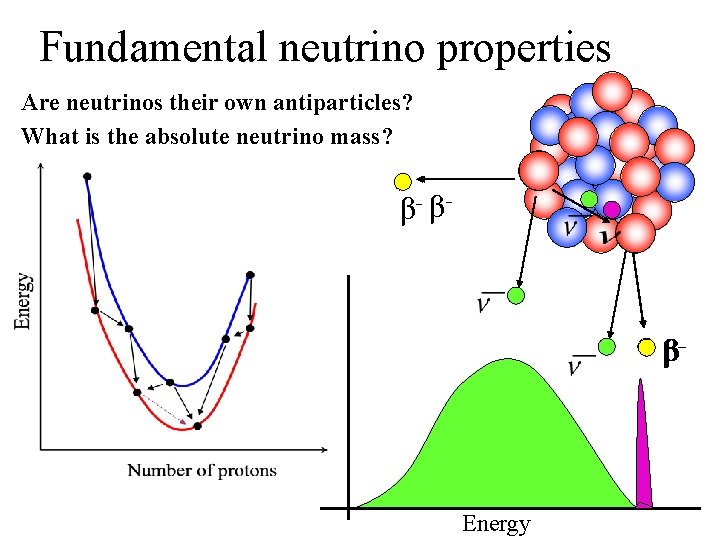 Fundamental neutrino properties Are neutrinos their own antiparticles? What is the absolute neutrino mass?