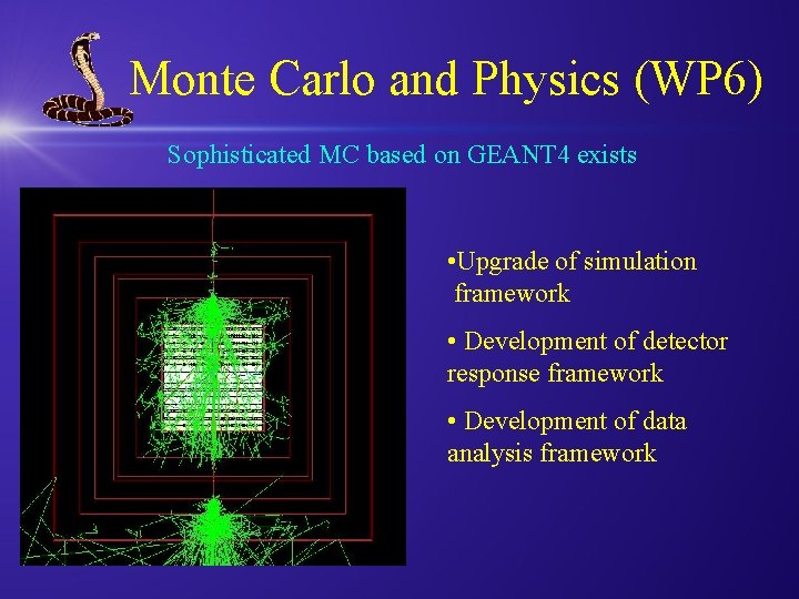 Monte Carlo and Physics (WP 6) Sophisticated MC based on GEANT 4 exists •