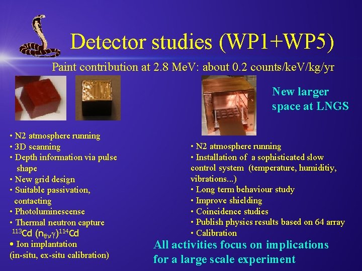 Detector studies (WP 1+WP 5) Paint contribution at 2. 8 Me. V: about 0.