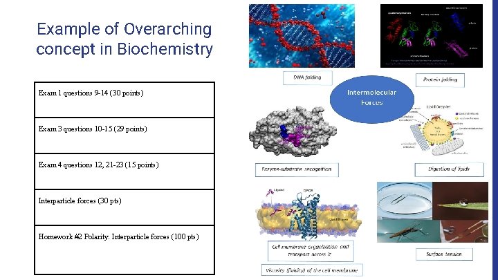 Example of Overarching concept in Biochemistry Exam 1 questions 9 -14 (30 points) Exam