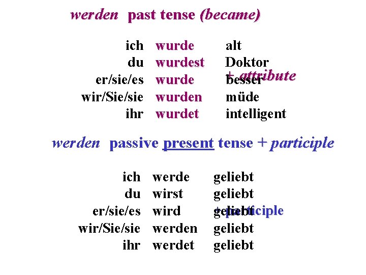 werden past tense (became) ich du er/sie/es wir/Sie/sie ihr wurdest wurden wurdet alt Doktor