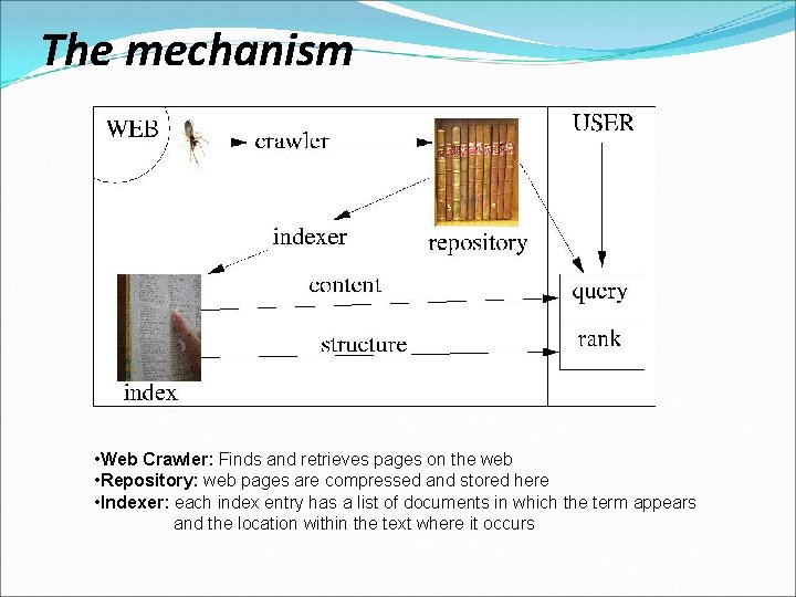 The mechanism • Web Crawler: Finds and retrieves pages on the web • Repository: