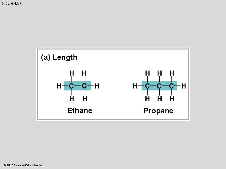 Figure 4. 5 a (a) Length Ethane © 2017 Pearson Education, Inc. Propane 