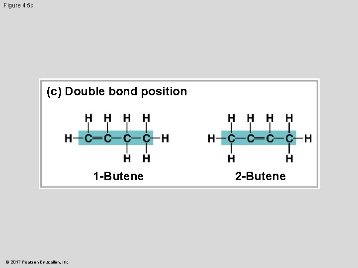 Figure 4. 5 c (c) Double bond position 1 -Butene © 2017 Pearson Education,