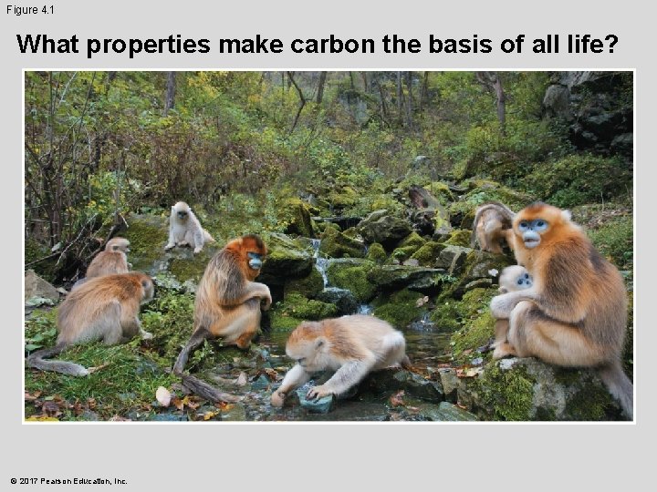 Figure 4. 1 What properties make carbon the basis of all life? © 2017