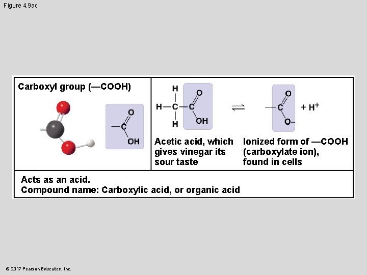 Figure 4. 9 ac Carboxyl group (—COOH) Acetic acid, which gives vinegar its sour