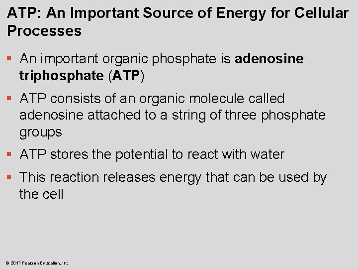ATP: An Important Source of Energy for Cellular Processes § An important organic phosphate
