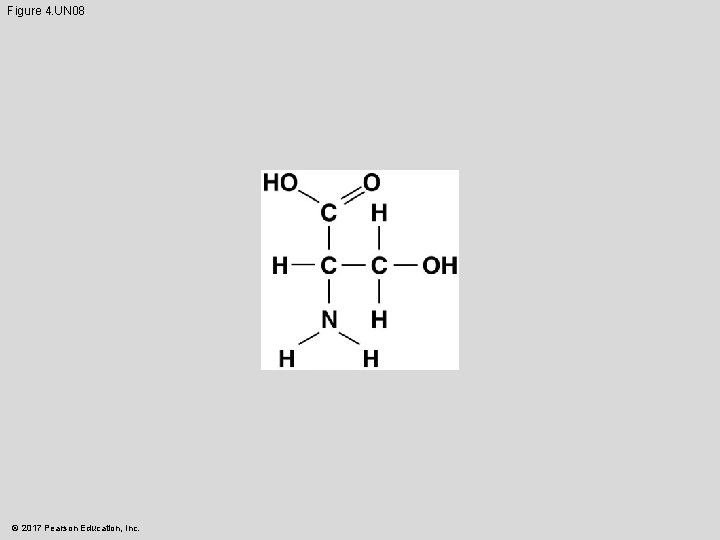 Figure 4. UN 08 © 2017 Pearson Education, Inc. 