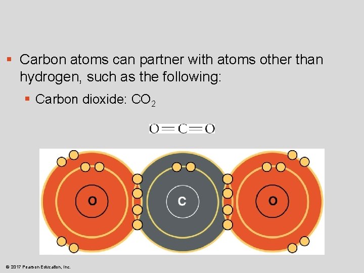 § Carbon atoms can partner with atoms other than hydrogen, such as the following: