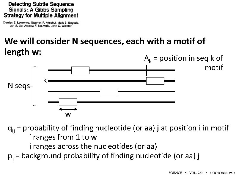 We will consider N sequences, each with a motif of length w: Ak =