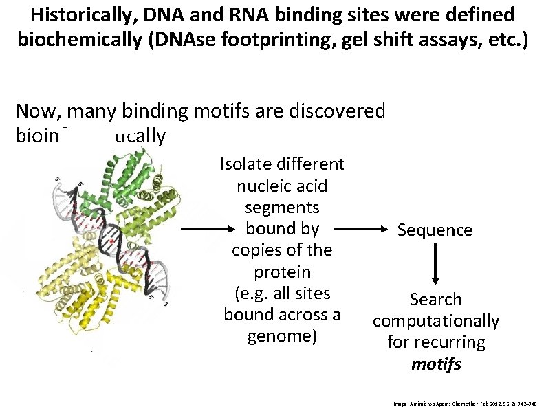 Historically, DNA and RNA binding sites were defined biochemically (DNAse footprinting, gel shift assays,