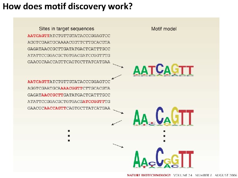 How does motif discovery work? 