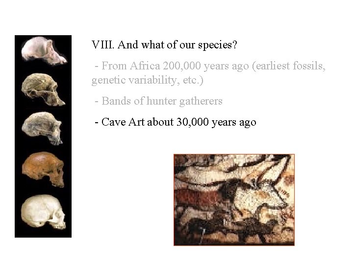 VIII. And what of our species? - From Africa 200, 000 years ago (earliest