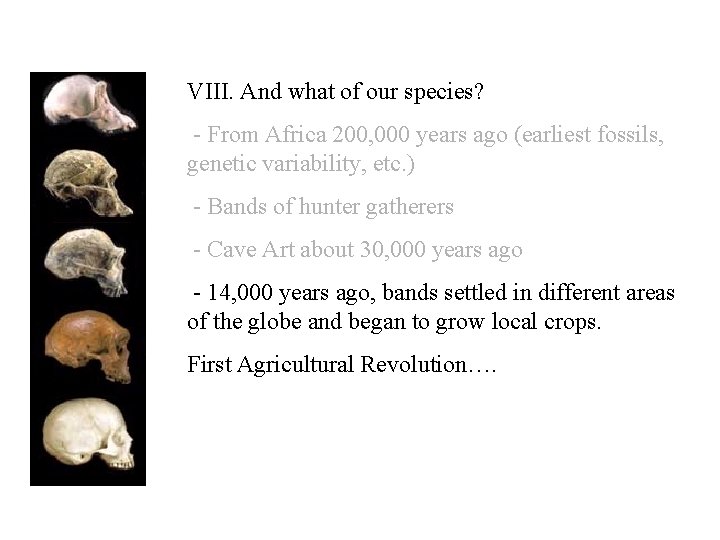 VIII. And what of our species? - From Africa 200, 000 years ago (earliest